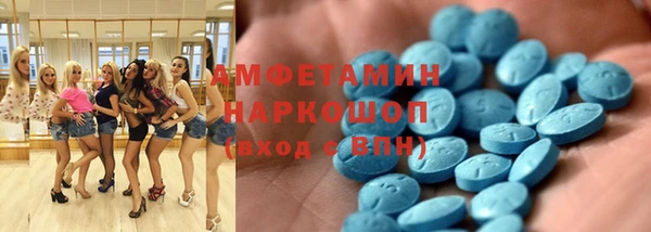 гидра Тавда