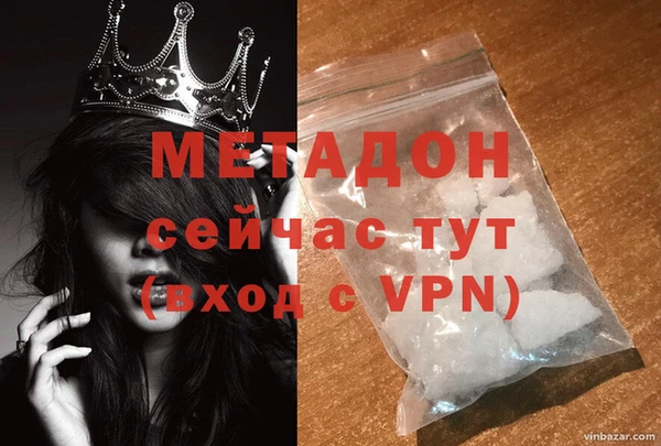 гидра Тавда