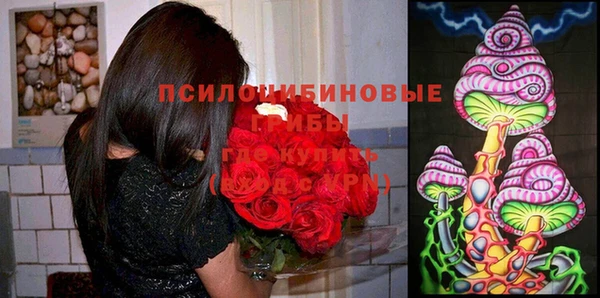 МДМА Горнозаводск